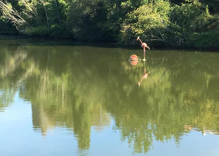 Hébergement de vacances La Frouardière, 3 De Charme *